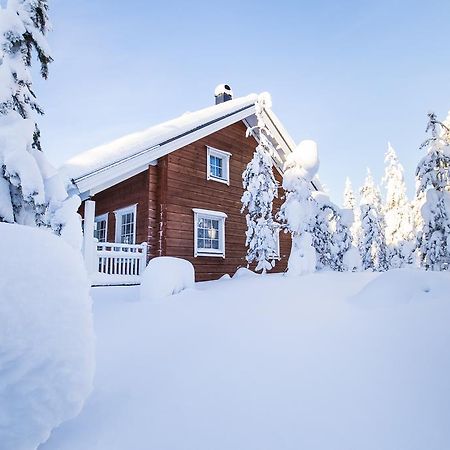 Ounasvaaran Lakituvat Chalets 로바니에미 외부 사진